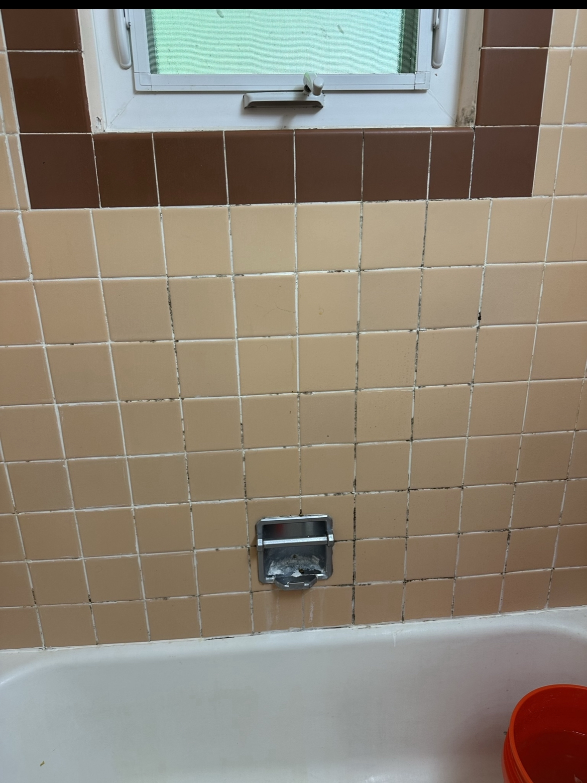 Bathroom Regrouting before